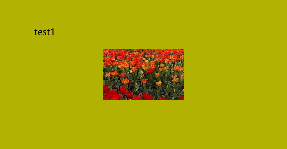 test1