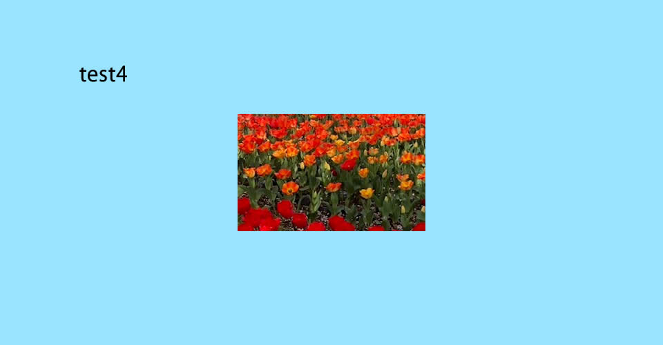 test4