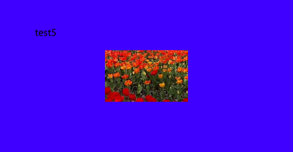 test5