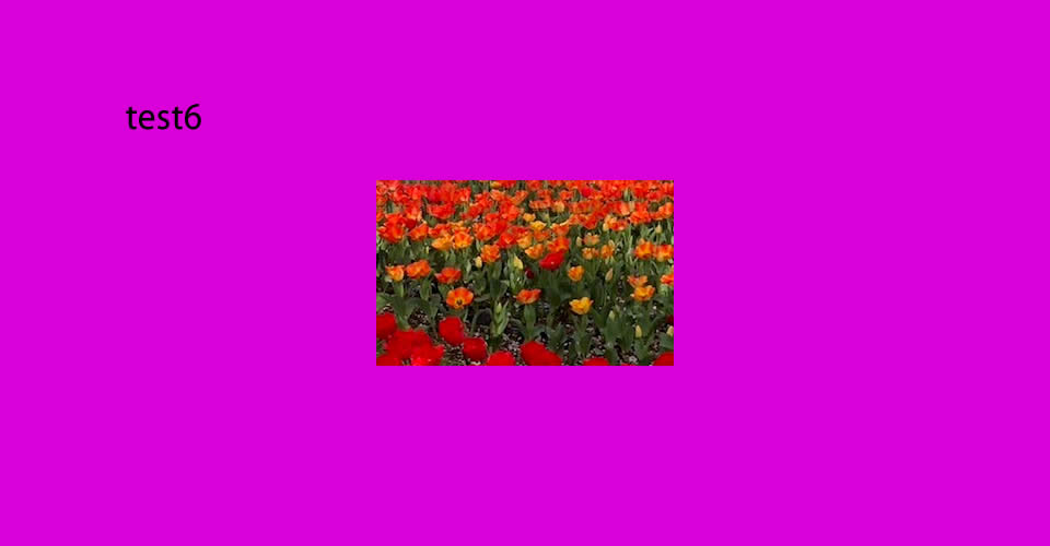 test6