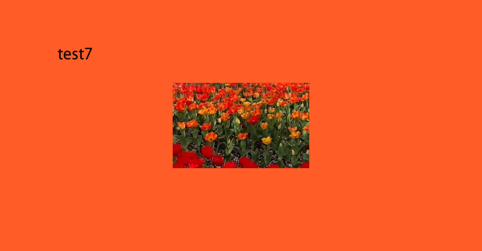 test7