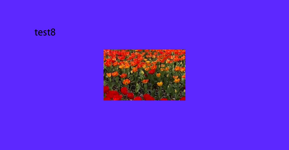 test8