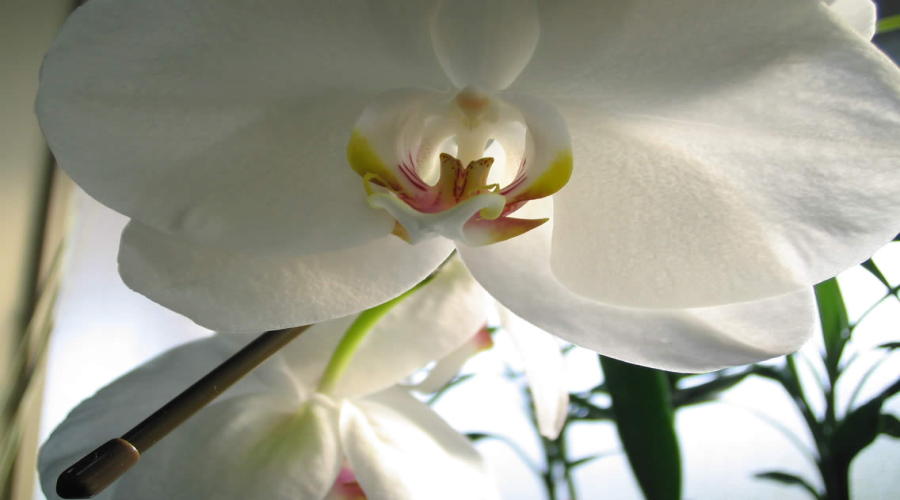 test1