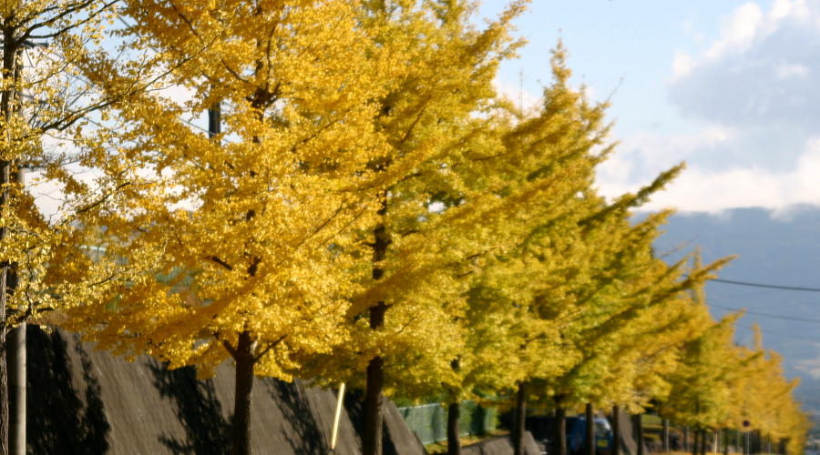 test2
