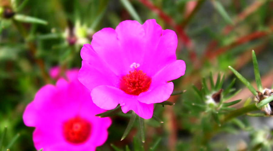 test5