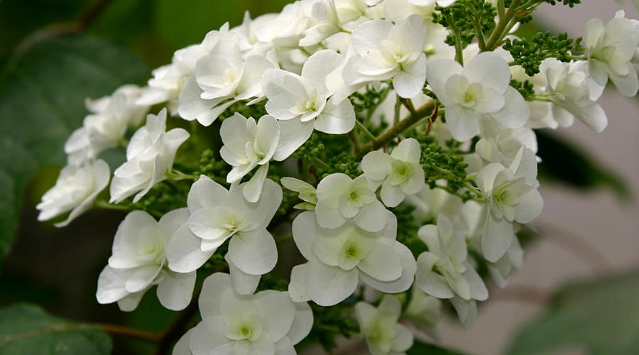 test6