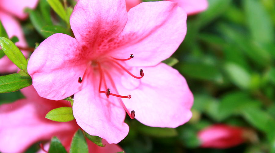test1