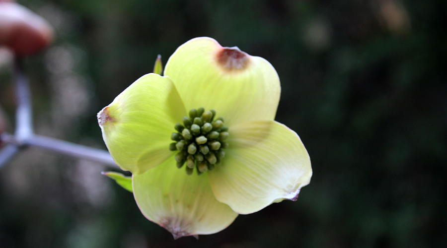 test1